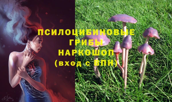 ПСИЛОЦИБИНОВЫЕ ГРИБЫ Куйбышев