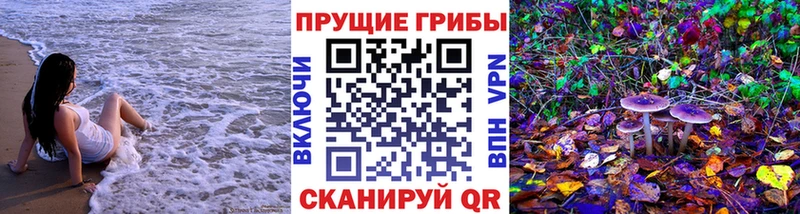 Псилоцибиновые грибы мицелий  где продают   Шлиссельбург 